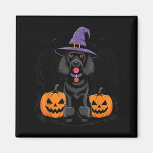 Aimant Sorcière d'Halloween Chien Caniche Noir Standard S