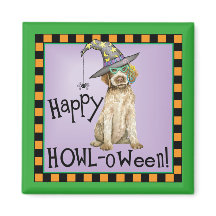 Sorcière Griffon à poils durs Pointing