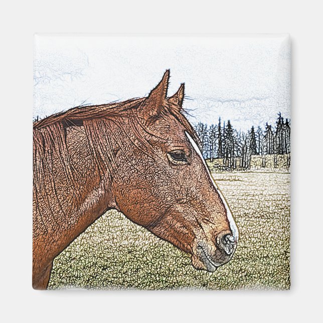 Aimant Sorrel Horse Portrait Equine Art Illustration (Devant)