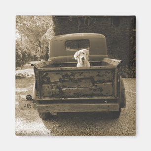 Aimant Sortez de Dodge - Photo de chien