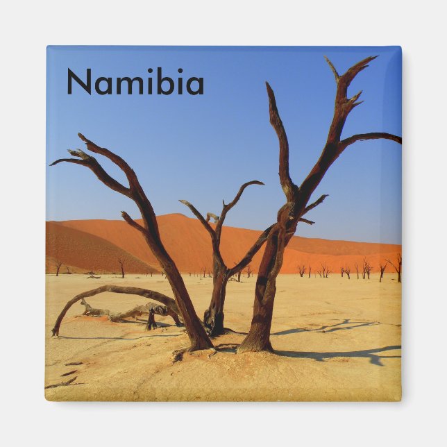 Aimant Sossusvlei Namibie Magneet (Devant)