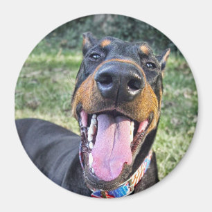 Aimant Sourire de dobermann