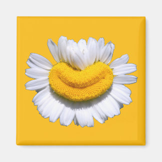 Aimant Sourire radieux de camomille