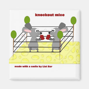 Aimant souris knockout