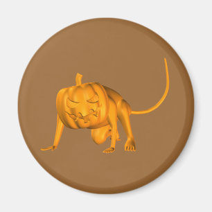 Aimant Souris Maison