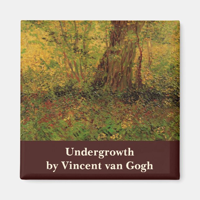 Aimant Sous-développement par Vincent van Gogh (Devant)