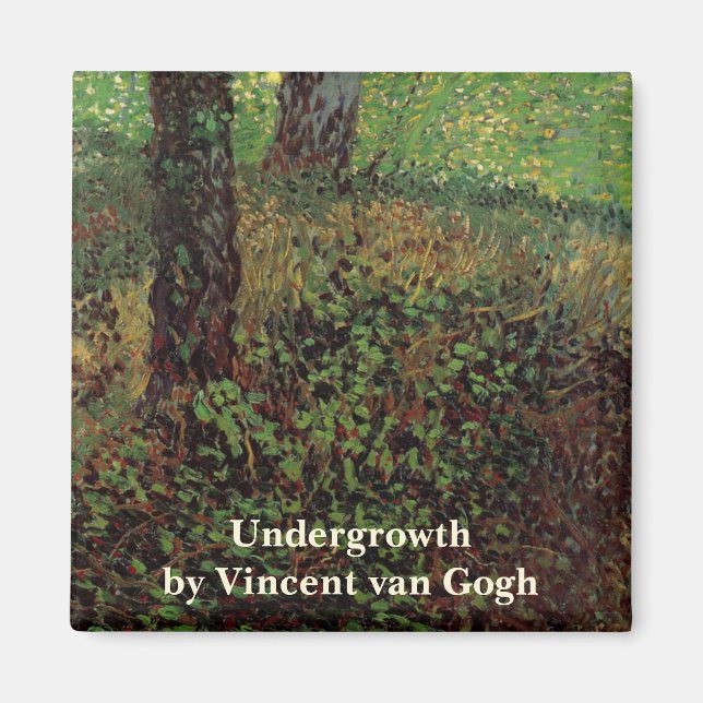 Aimant Sous-développement par Vincent van Gogh (Devant)