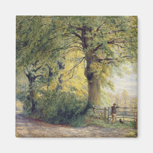 Aimant Sous les hêtres