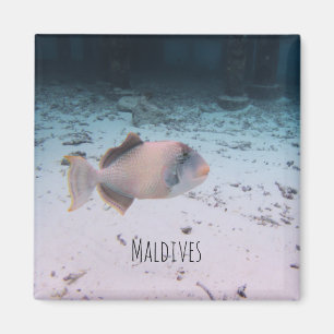 Aimant Souvenir de poisson corail sous-marin des Maldives