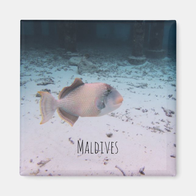 Aimant Souvenir de poisson corail sous-marin des Maldives (Devant)