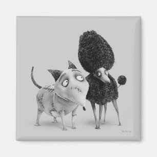 Aimant Sparky et Perséphone