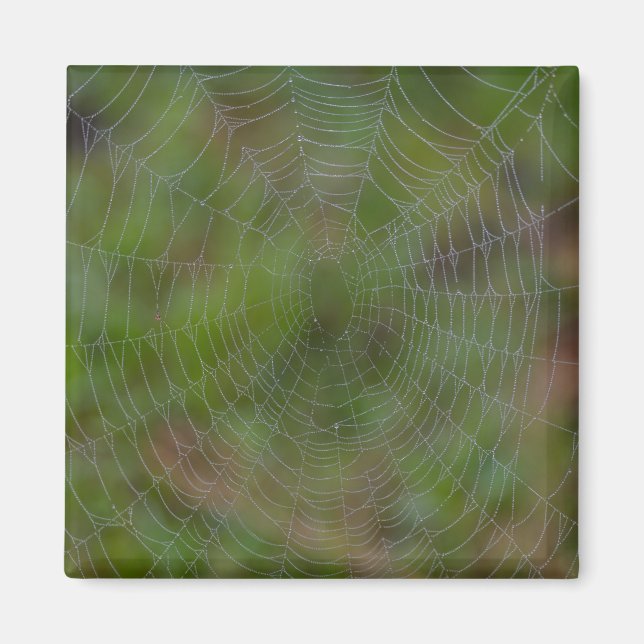 Aimant Spiderweb avec Droplets (Devant)