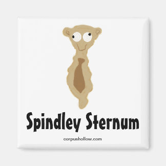 Aimant Spindley Sternum