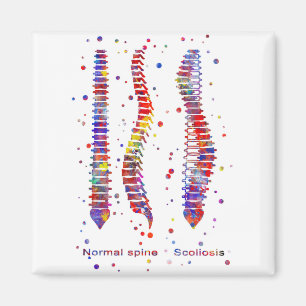 Aimant Spine
