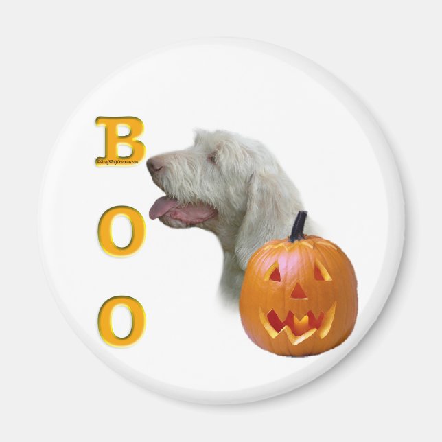 Aimant Spinone Italiano Boo (Devant)