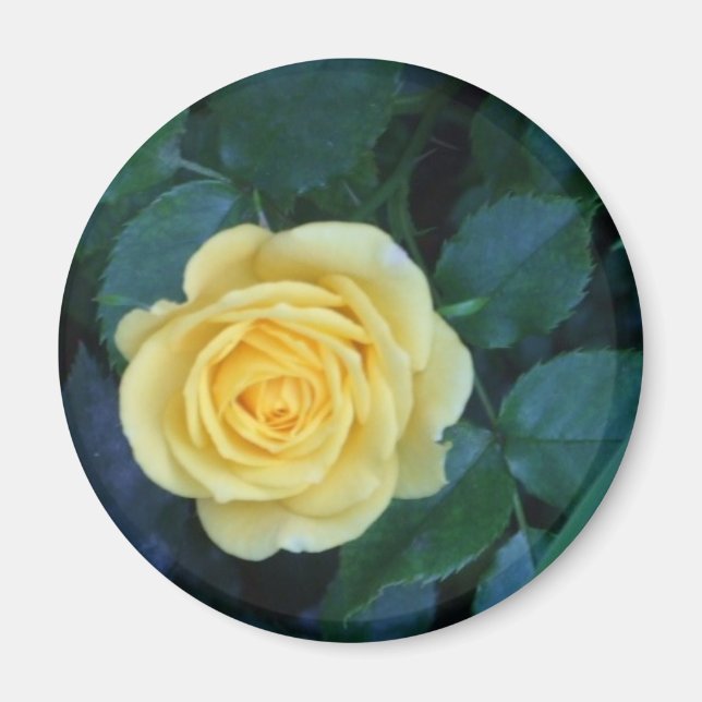 Aimant springpics 017 (Devant)