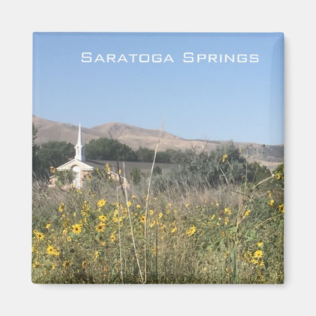 Aimant Springs de Saratoga (Devant)