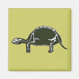 Aimant squelette tortue