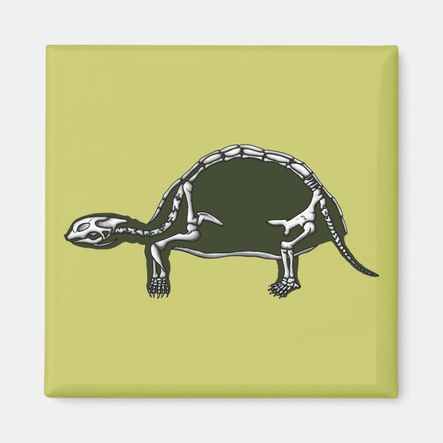 Aimant squelette tortue (Devant)