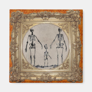 Aimant squelettique de famille