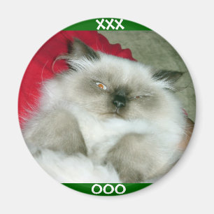 Aimant Squinty Himmy