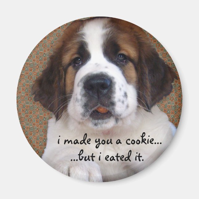 Aimant St Bernard Puppy Cookie (Devant)