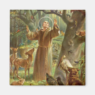Aimant St Francis of Assisi preaching to animals