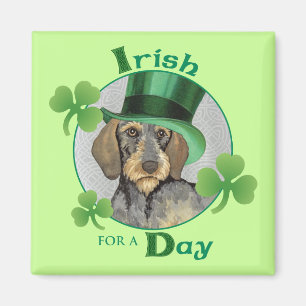 Aimant St. Patrick's Day Wirehaired Dachshund