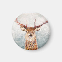Stag écossais dans l'aimant de la neige