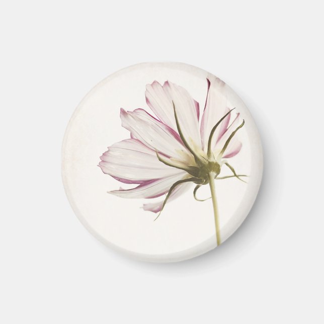 Aimant "Stand in the Light" (Devant)