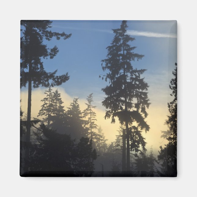 Aimant Stanley Park, bois, couche marine brouillard roula (Devant)