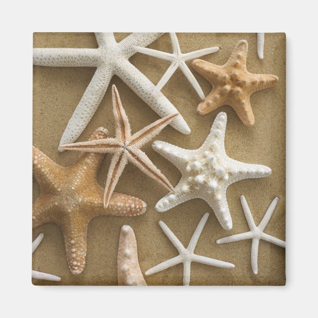 Aimant Starfish (Devant)