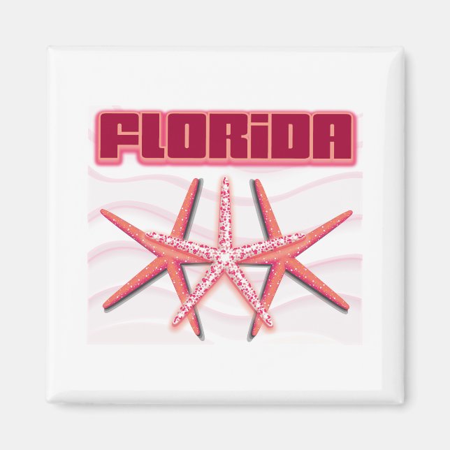 Aimant Starfish de Floride (Devant)
