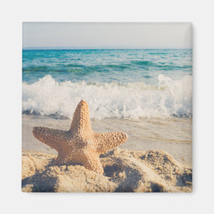 Aimant Starfish sur une plage de sable Photo