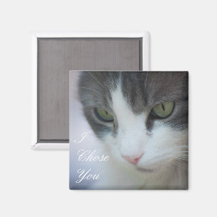 Aimant Staring de chat noir et blanc