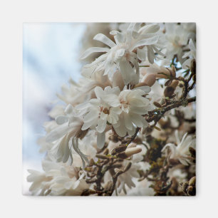 Aimant Starry Magnolia 5781