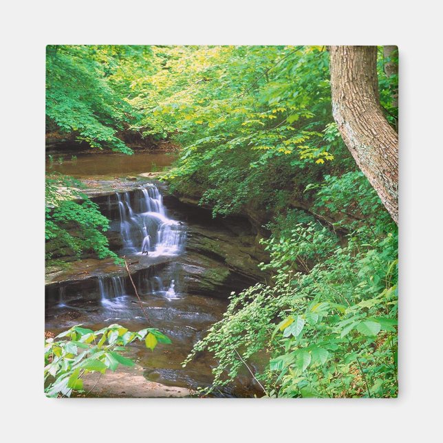 Aimant Starved Rock Park, Illinois (Devant)