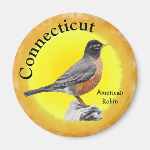 Aimant State Bird of Connecticut