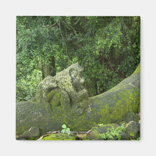 Aimant Statues dans la forêt de singe d'Ubud