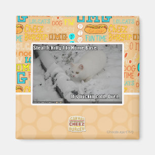 Aimant Stealth Kitty 1