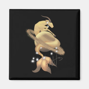 Aimant Stellar Capricorn Saturn Zodiac