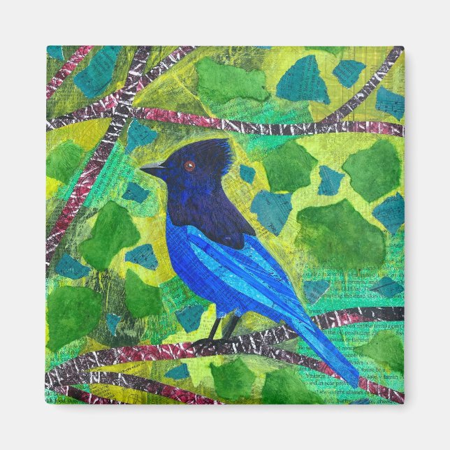 Aimant Stellar Jay (Devant)