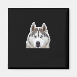Aimant Sticker Sibérien Husky Preof That Size S