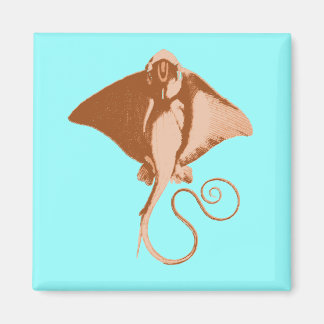 Aimant stingray
