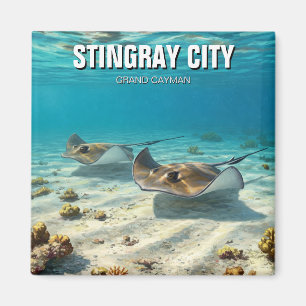 Aimant Stingray en Grand Cayman Travel