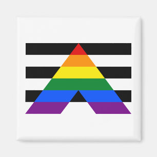 Aimant Straight