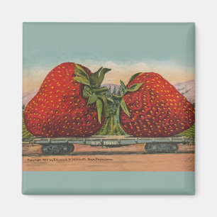 Aimant Strawberries Giant Antique Fruit Fun