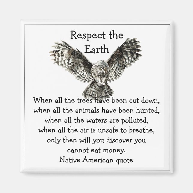 Aimant Striking Owl Respecter la Terre Amérindienne (Devant)