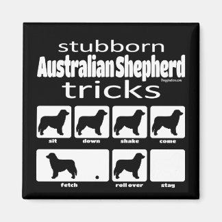 Aimant Stubborn Australian Shepherd Tricks