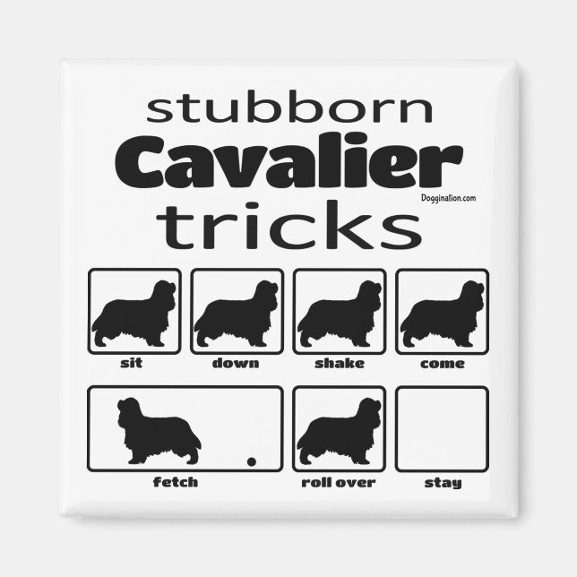 Aimant Stubborn Cavalier Tricks (Devant)